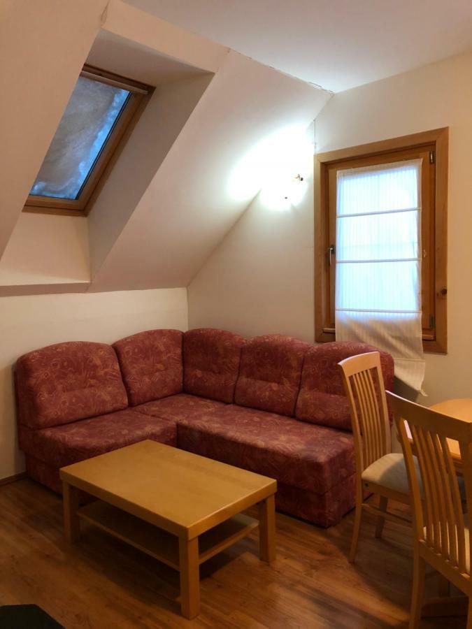 Apartmaji Zlata Lisicka سيركنو المظهر الخارجي الصورة